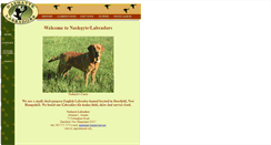 Desktop Screenshot of nashaytelabradors.com